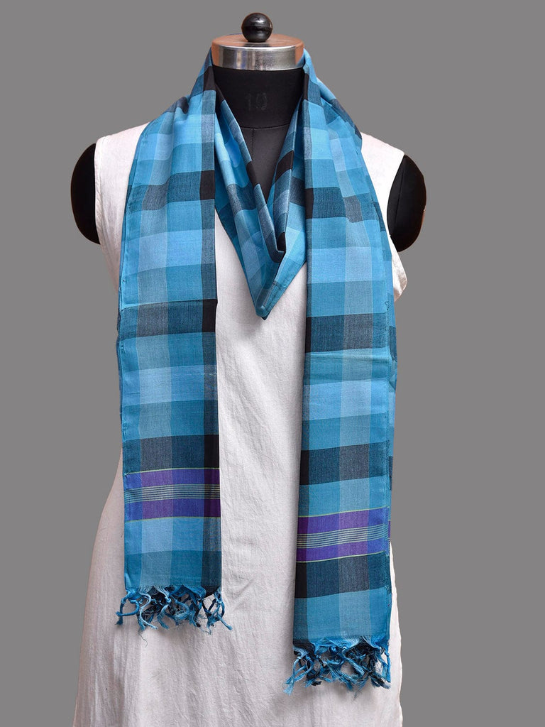 Blue and Black Mangalgiri Cotton Handloom Dupatta with Checks Design ds3895