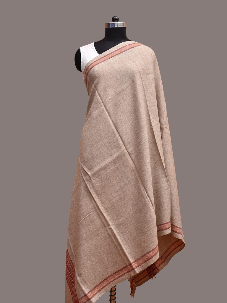 Cream Woolen Shawl with Border Design ds3663