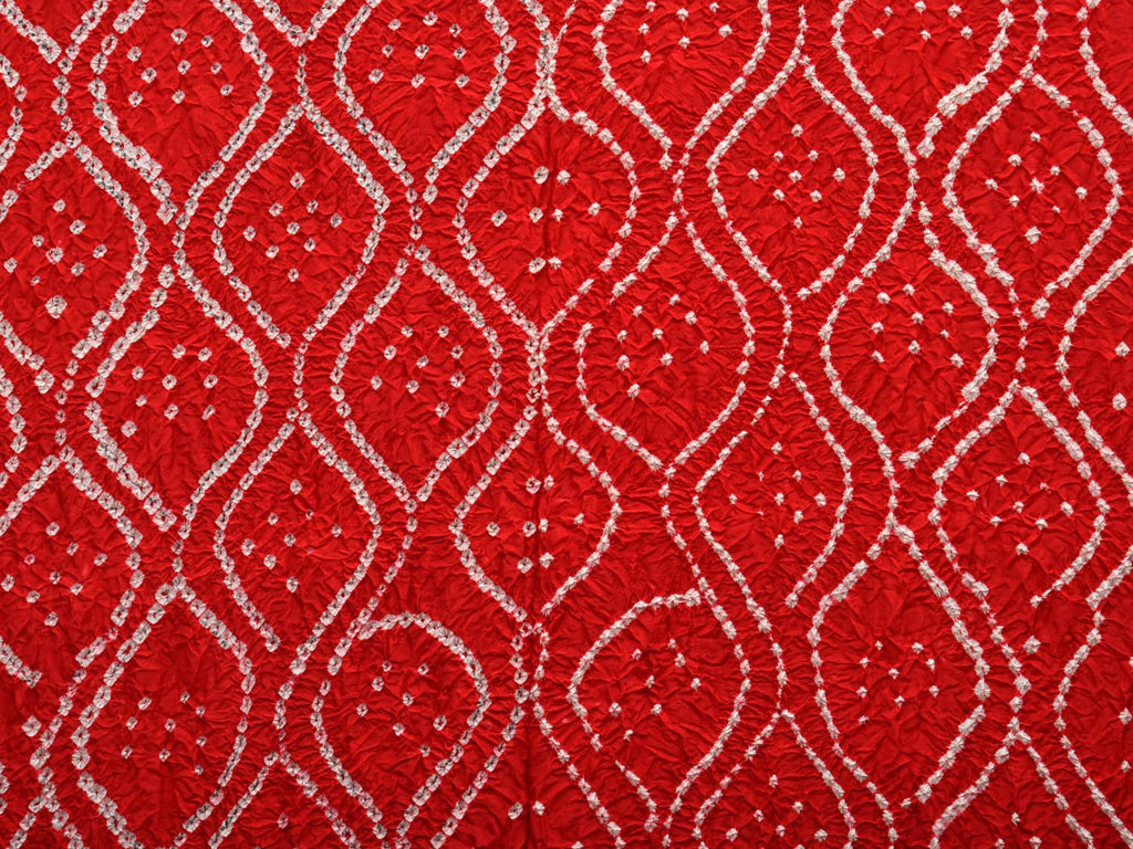 Red Bandhani Kanchipuram Silk Handloom Dupatta with Border Design ds2694